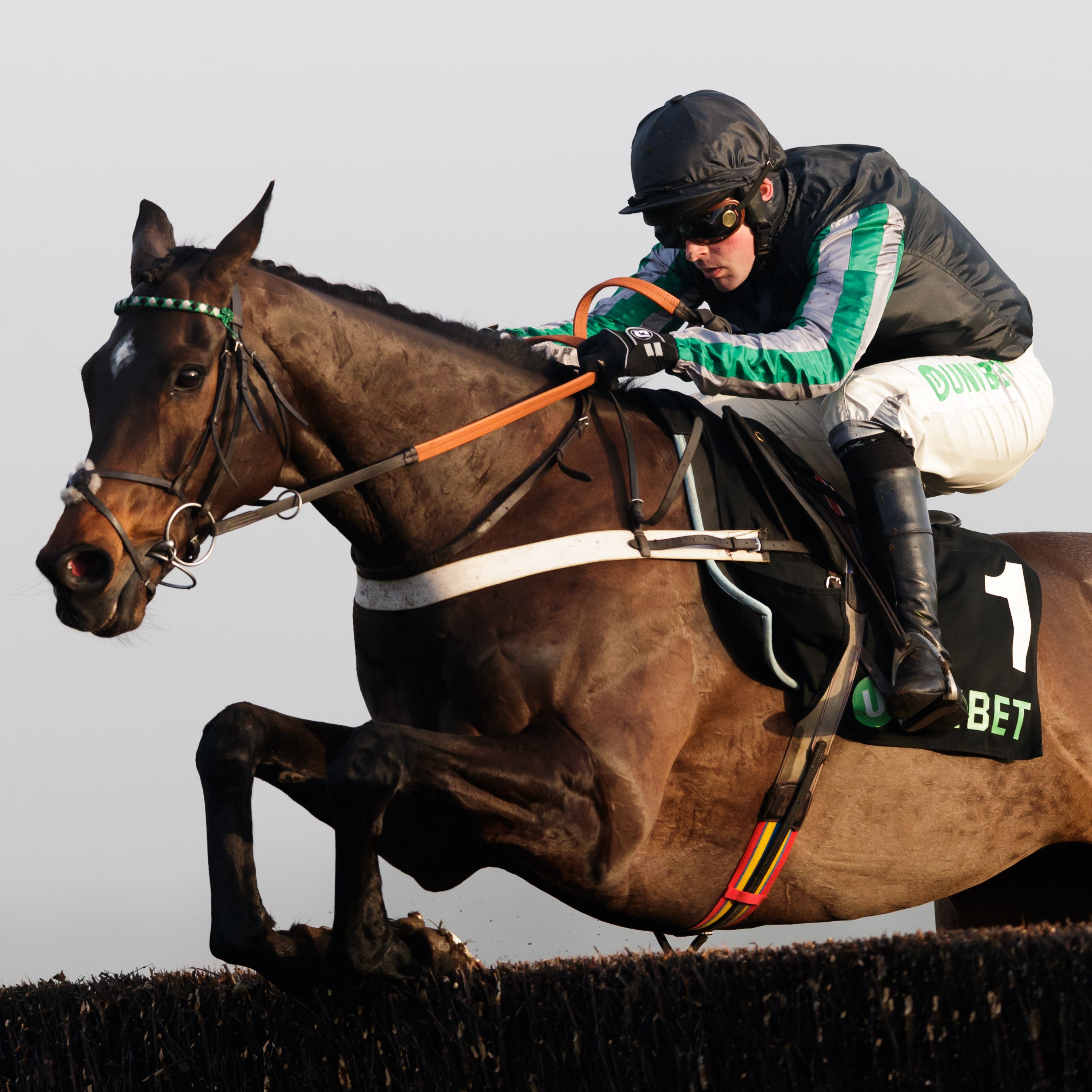 Altior notched up his 18th successive win in the Champion Chase