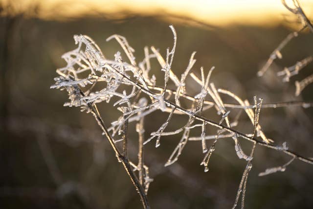 Winter weather Jan 8th 2024