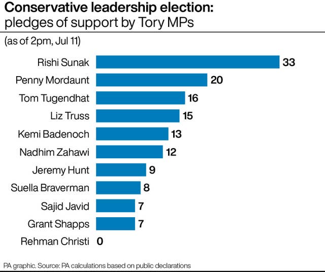 Conservative leadership election: pledges of support by Tory MPs