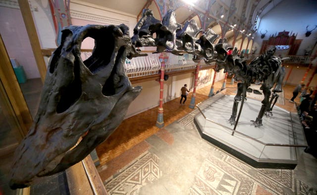 In Pictures: Skeleton crew taking Dippy the Diplodocus on UK tour | BT