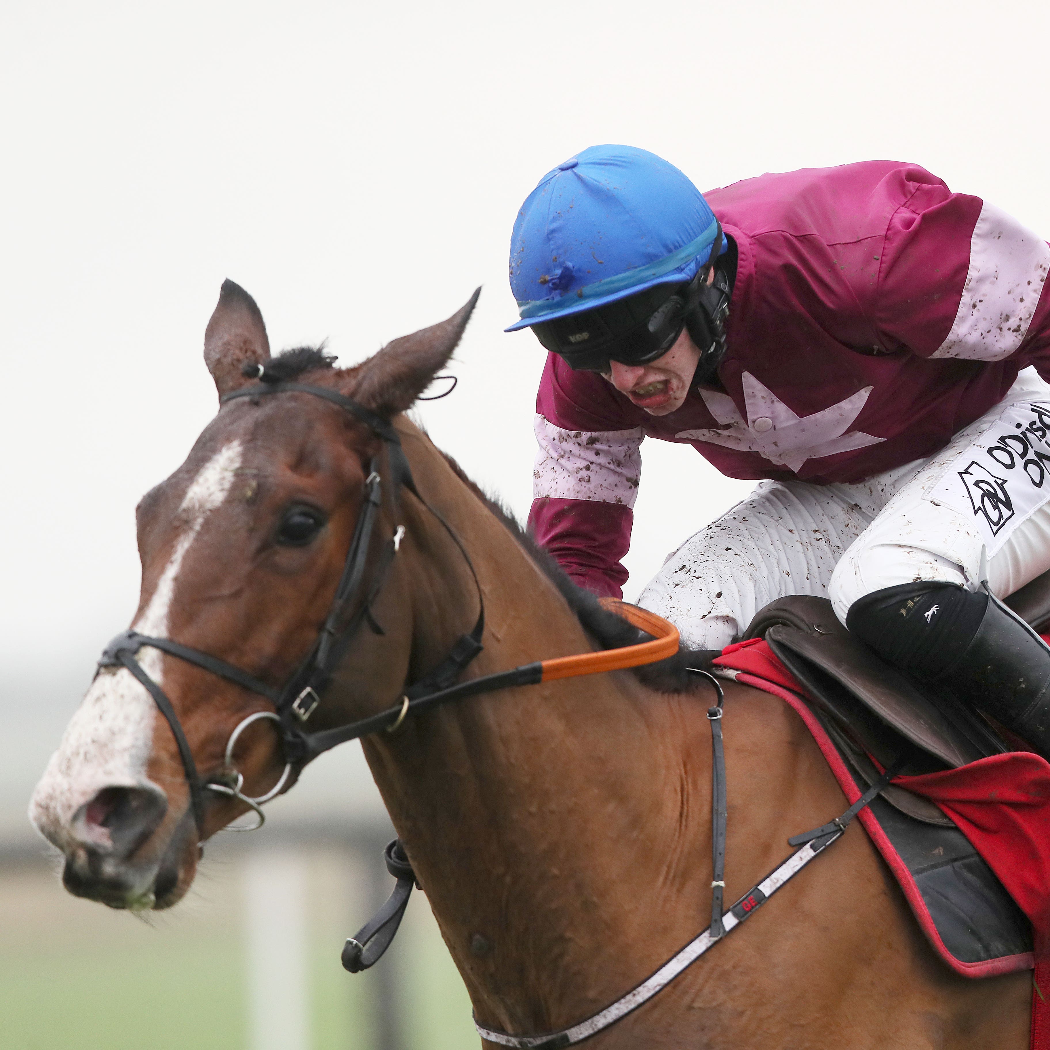 Mengli Khan is one of two runners for Gordon Elliott in the Ryanair Gold Cup