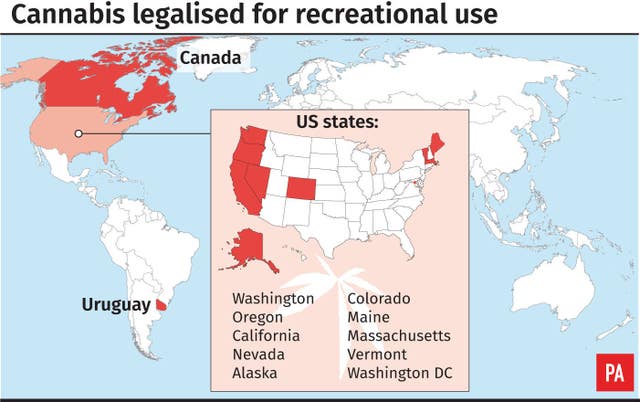 A graphic of cannabis use for medicinal purposes