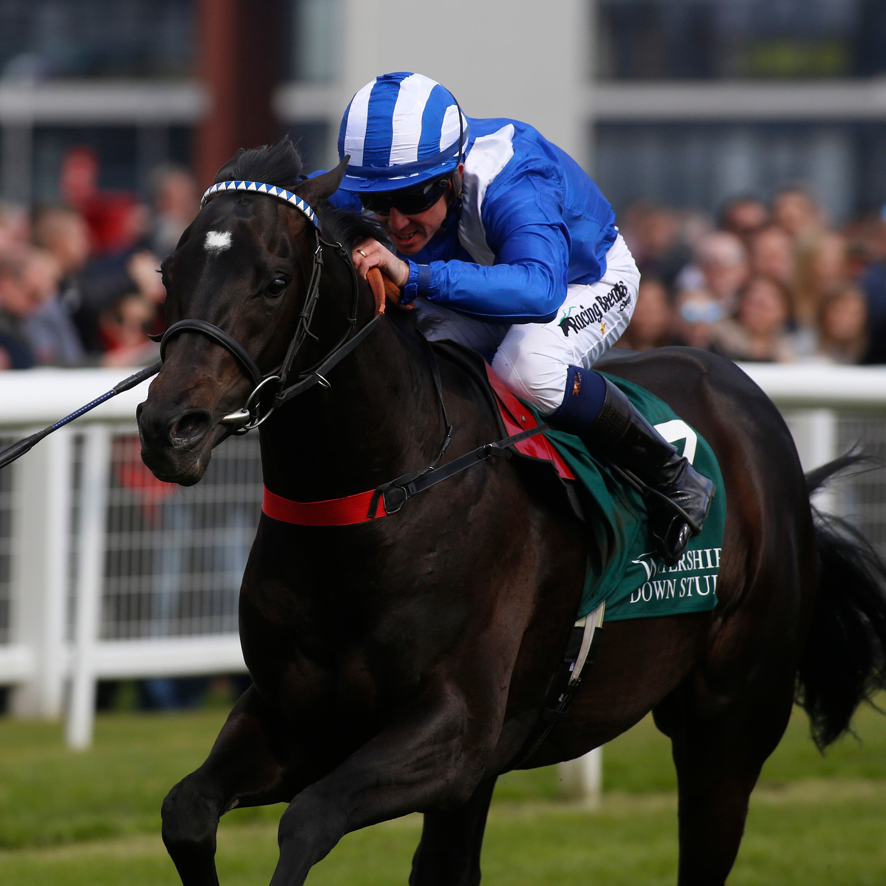 Mohaather wins the Greenham Stakes at Newbury