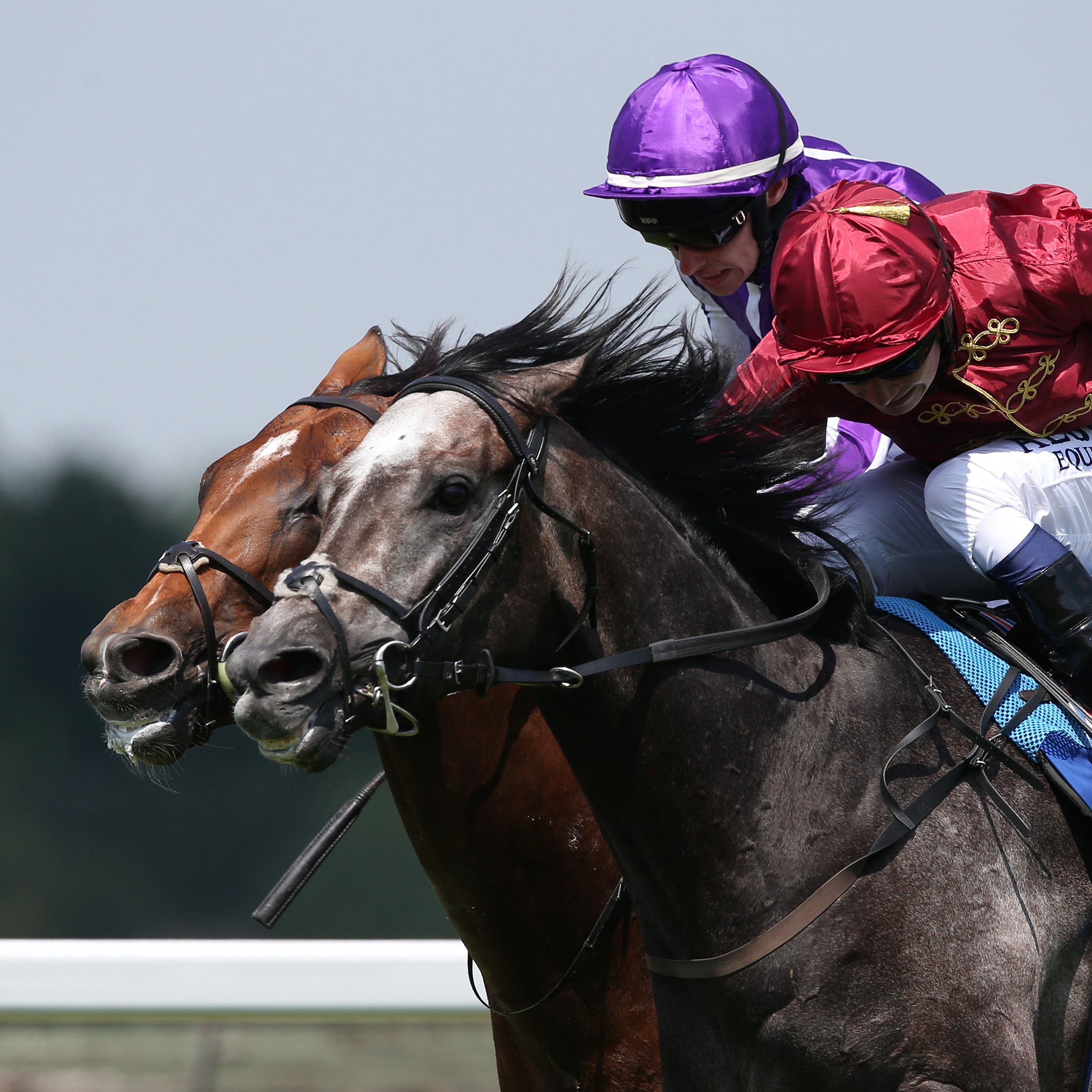 Roaring Lion beats Saxon Warrior in the Eclipse