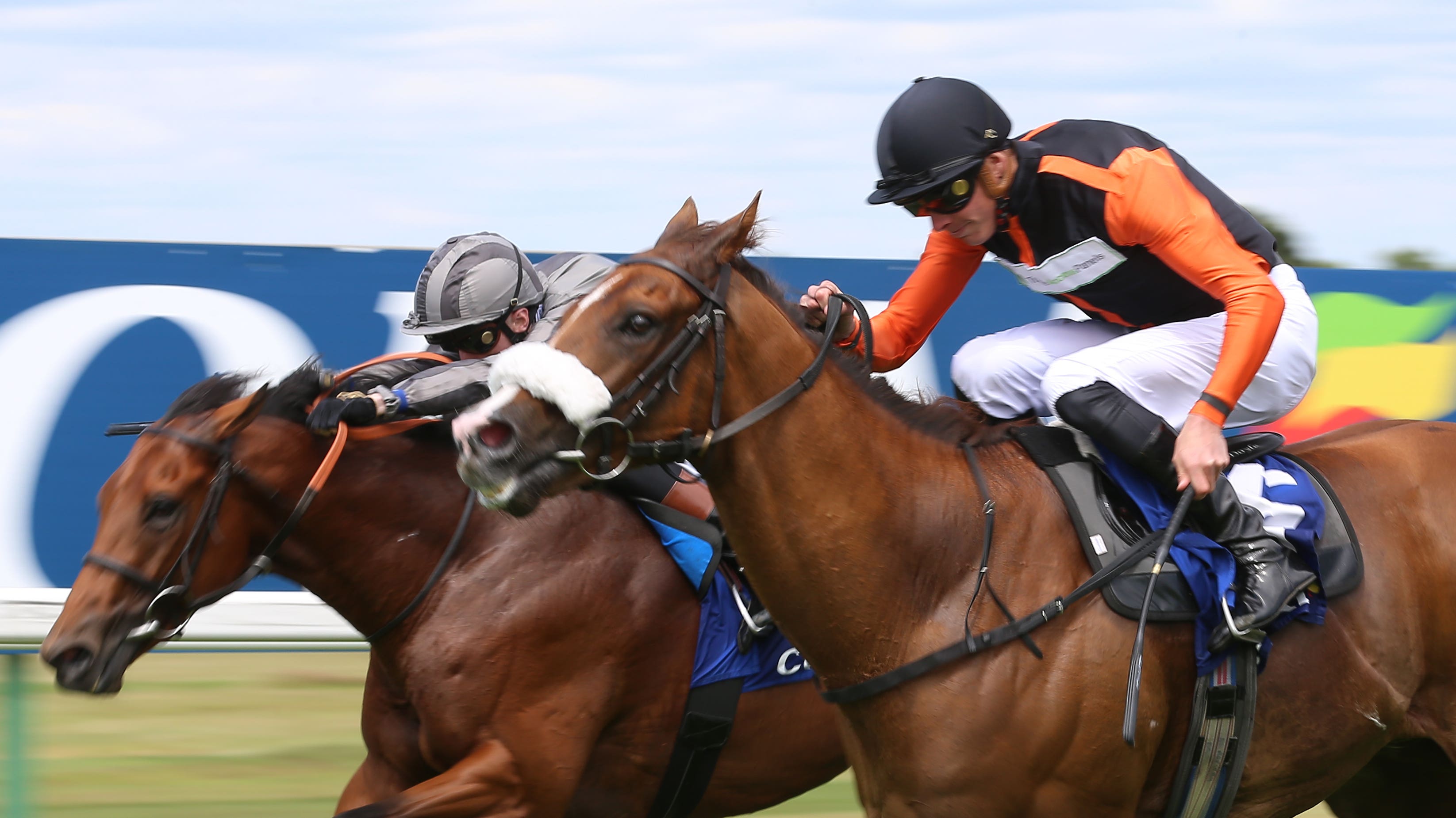 King George Qatar Stakes: Raasel set for next step - Vimarsana News