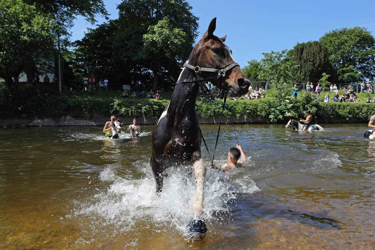 In Pictures: Thousands expected in Cumbria for Appleby Horse Fair