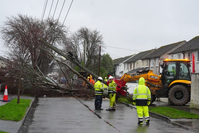 Workers clearing a fallen tree in a residential area