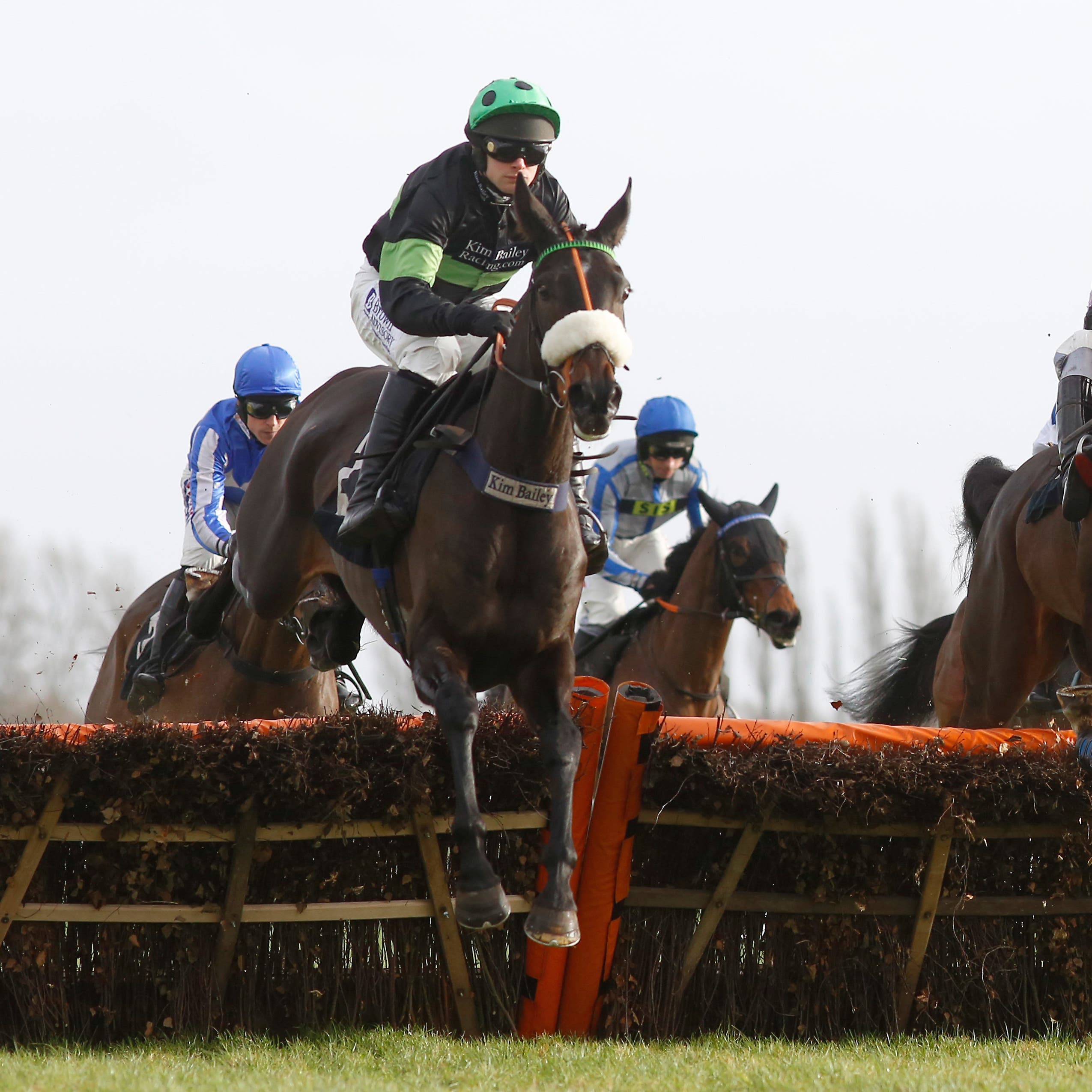 First Flow (left) could be a star in the making for Kim Bailey