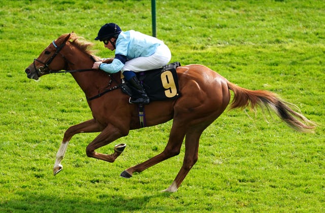 Soprano looked the part on her Newmarket introduction 