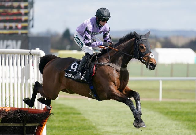 Stage Star during his hurdling career 