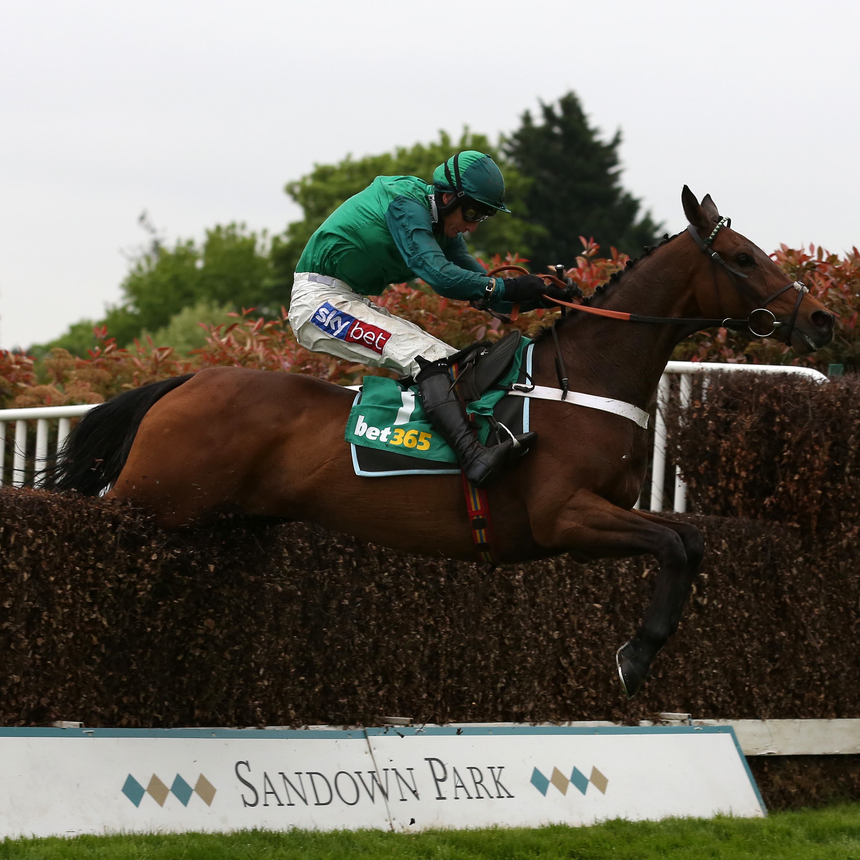 Top Notch could turn into a possible King George contender