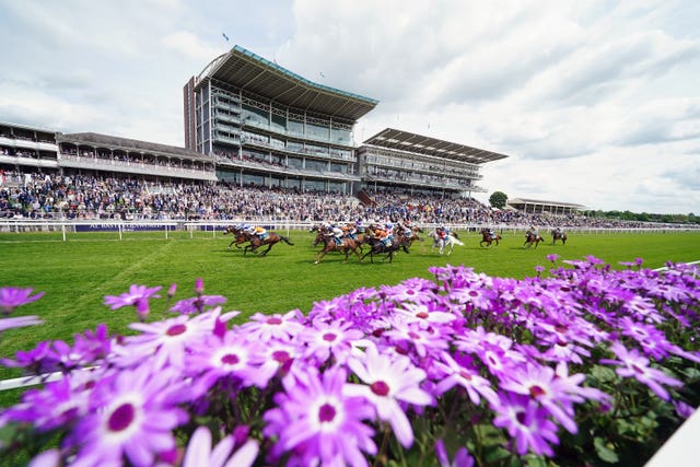 Bielsa and Oisin Murphy (far side) strike gold at York