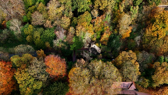 An aerial view of trees in autumn colours at Jesmond Dene in Newcastle 