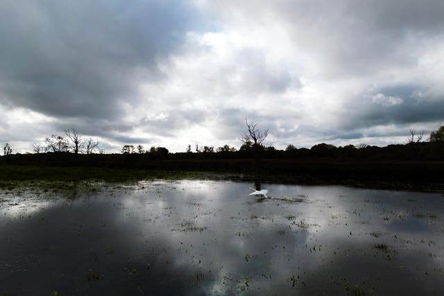 Autumn weather Oct 8th 2024