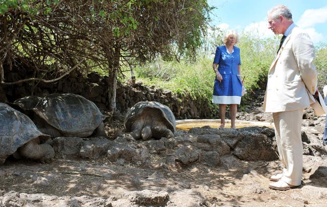 The Prince of Wales and the Duchess of Cornwall come face to face with giant tortoises at the Galapagos National Park