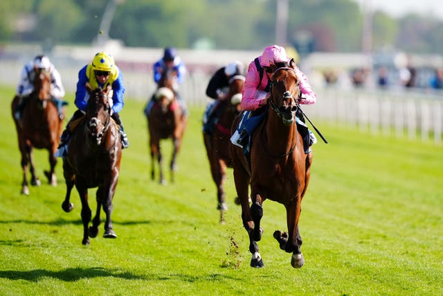 Bowmark impressed at York 