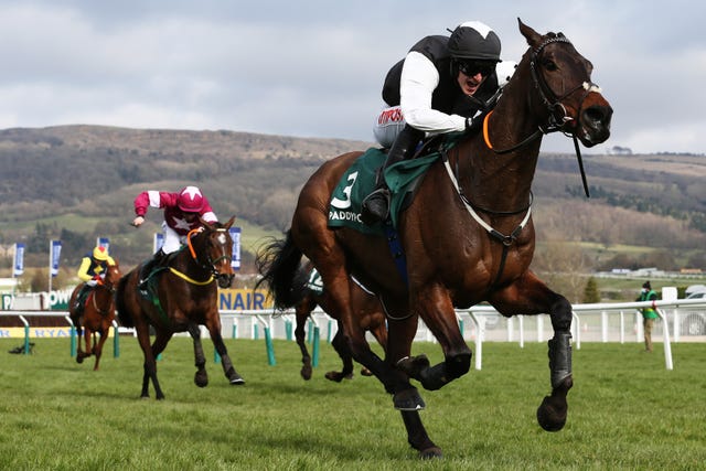 Flooring Porter made a perfect chasing debut at Cheltenham