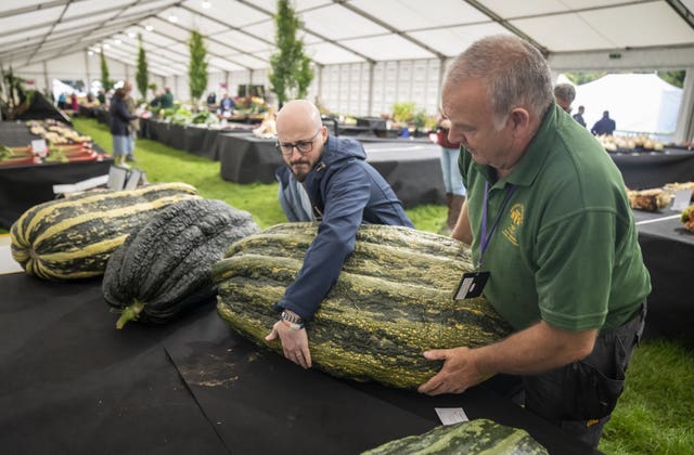 Harrogate Autumn Flower Show