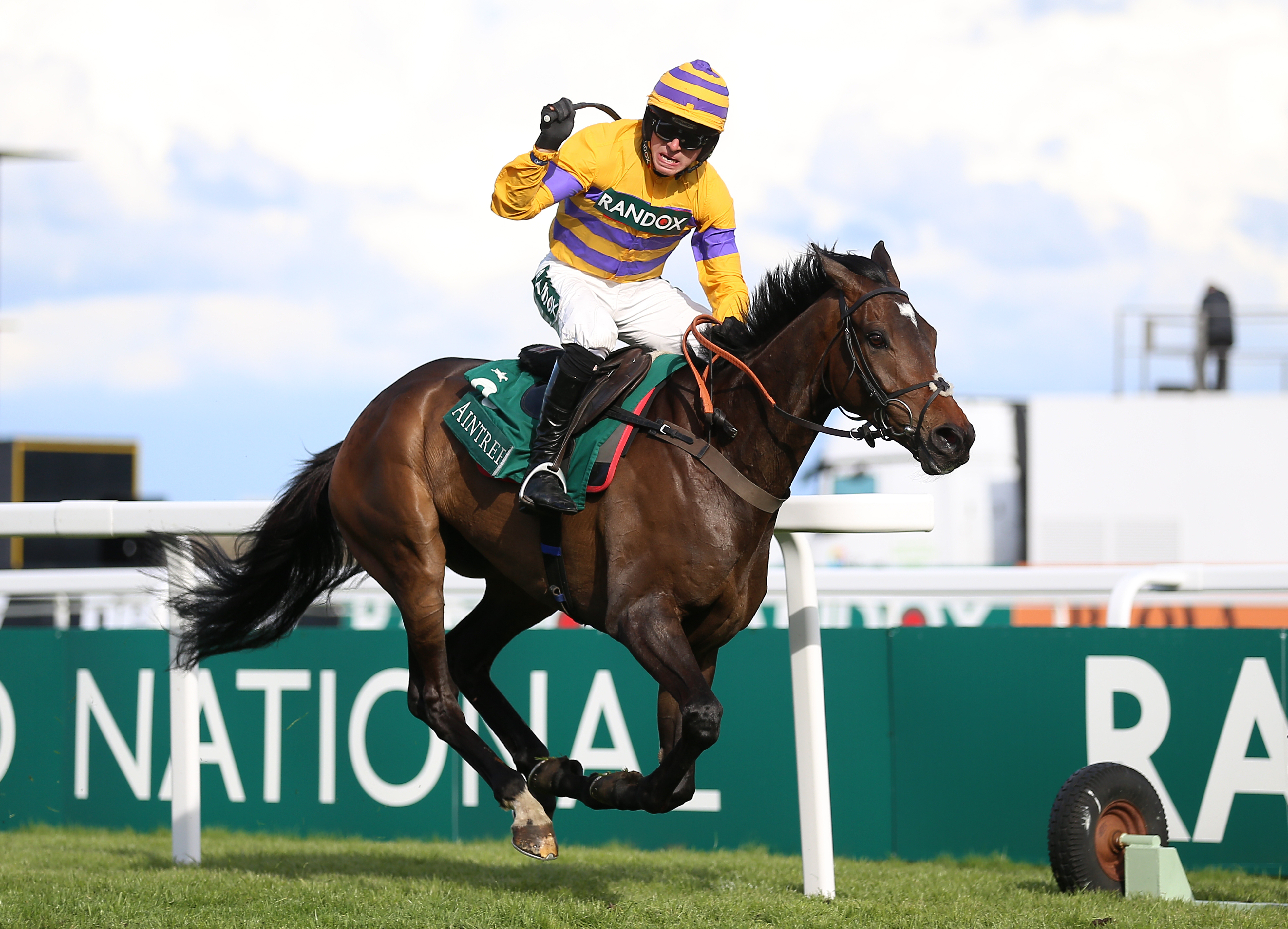 Gelino Bello returns to hurdles after a fall in the Kauto Star at Kempton