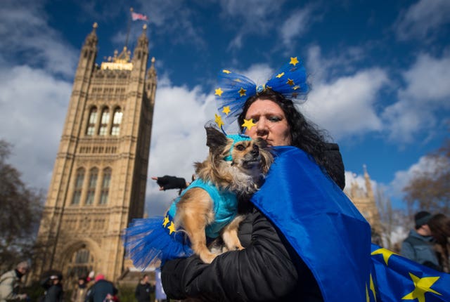 Chihuahua Cookie with owner Alex (Dominic Lipinski/PA)