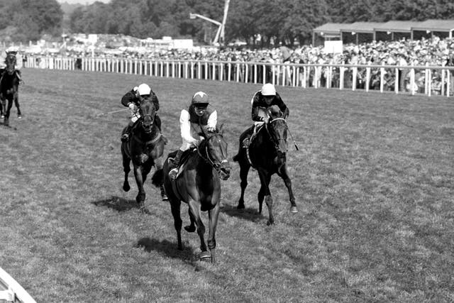 Sonic Lady wins the Coronation Stakes at Royal Ascot in a stellar 1986 campaign 