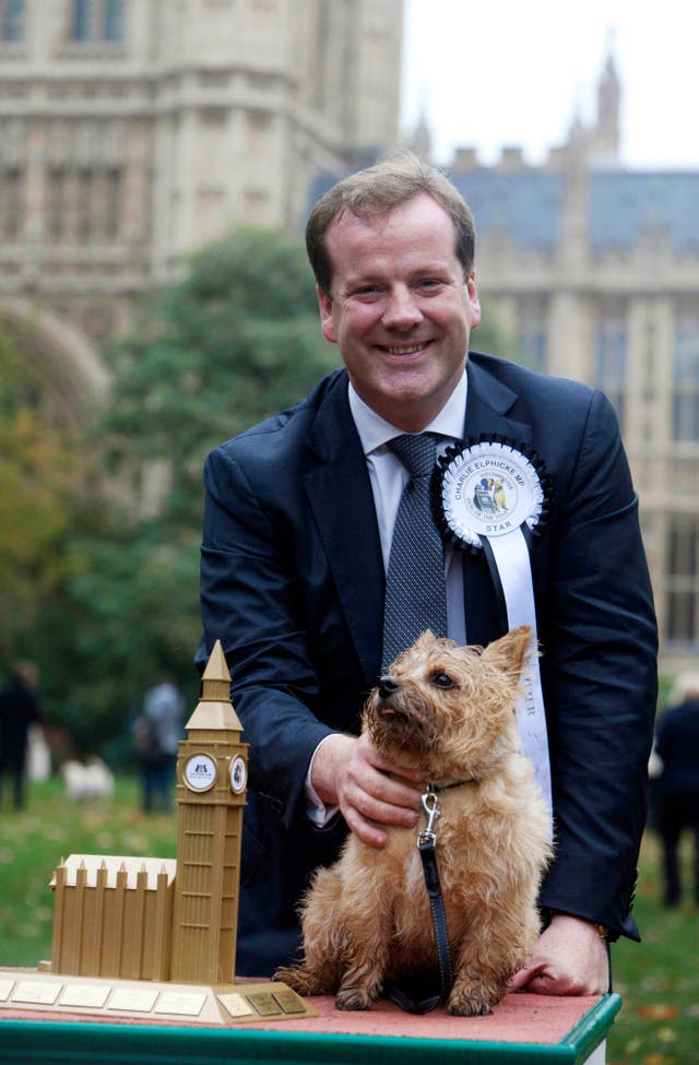Westminster Dog of the Year