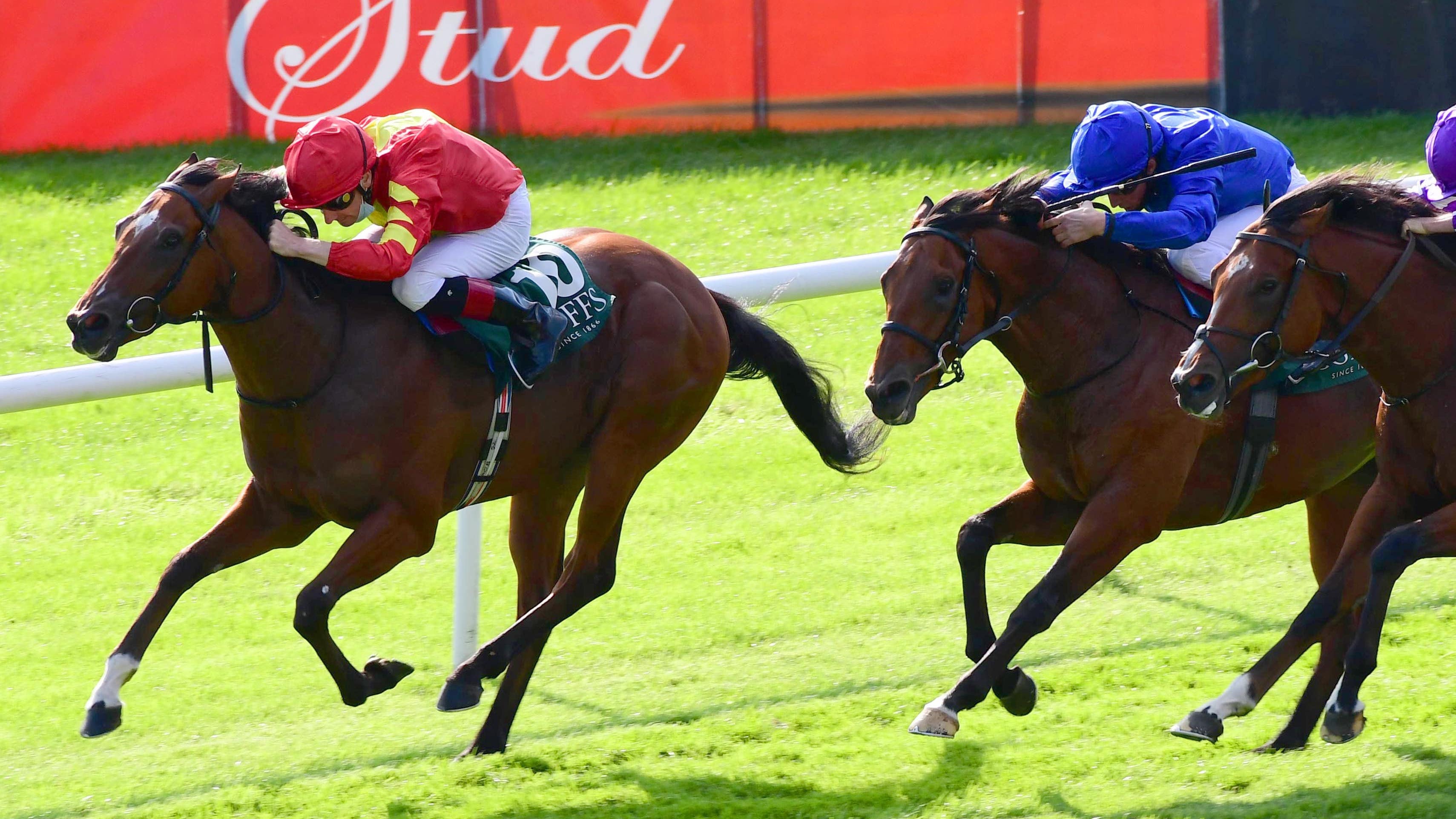 Thunder Moon on course for Guineas but Mutasaabeq decision yet to be made - Vimarsana News