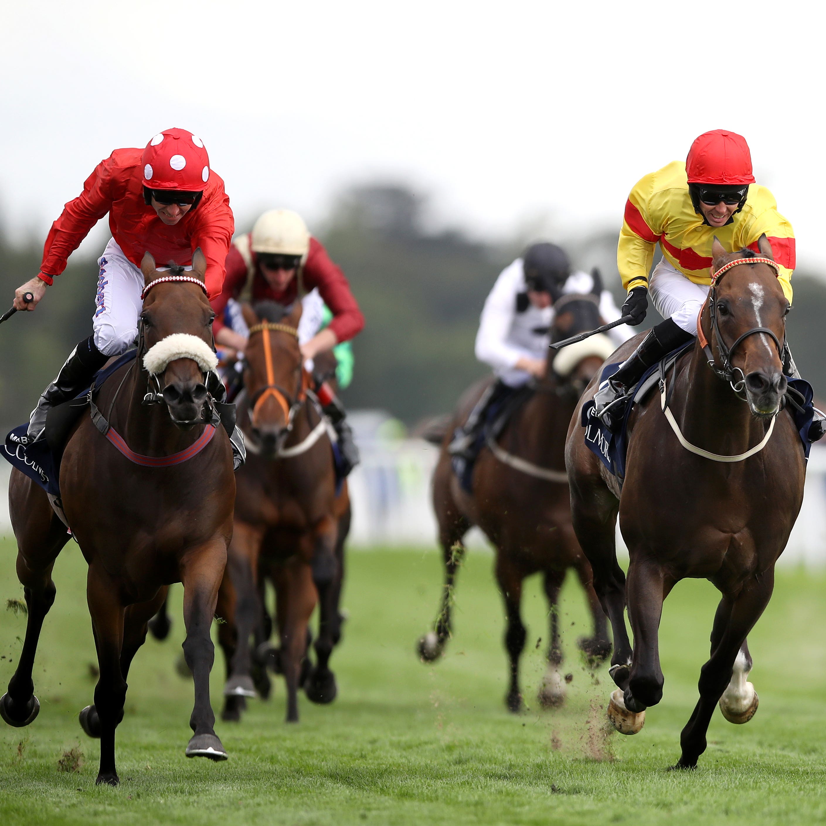 Alpha Delphini (right) just touched off Mabs Cross in the Nunthorpe