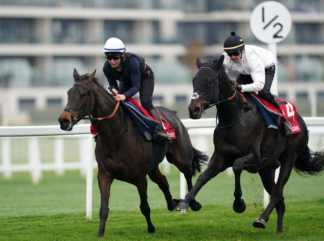 Mister Coffey (right) during the 2021 Ladbrokes Winter Carnival Gallops morning at Newbury racecourse