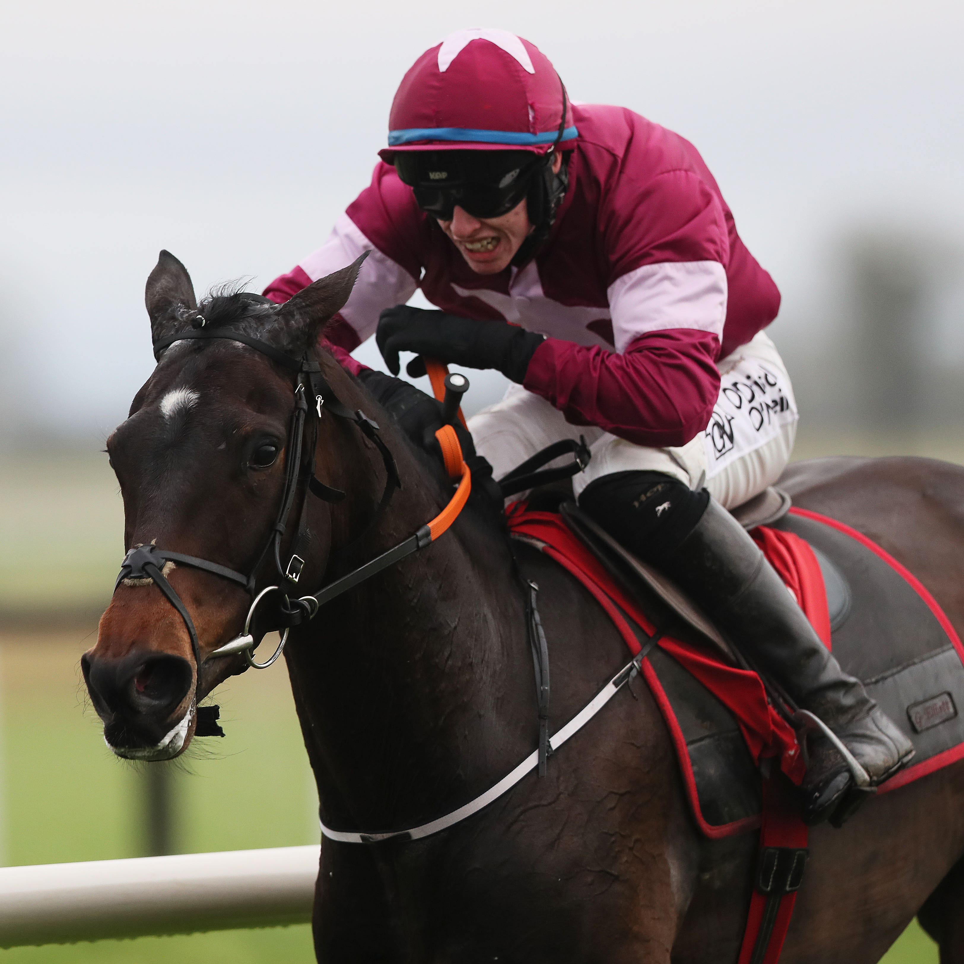 Apple's Jade on her way to winning her second Hatton's Grace Hurdle at Fairyhouse