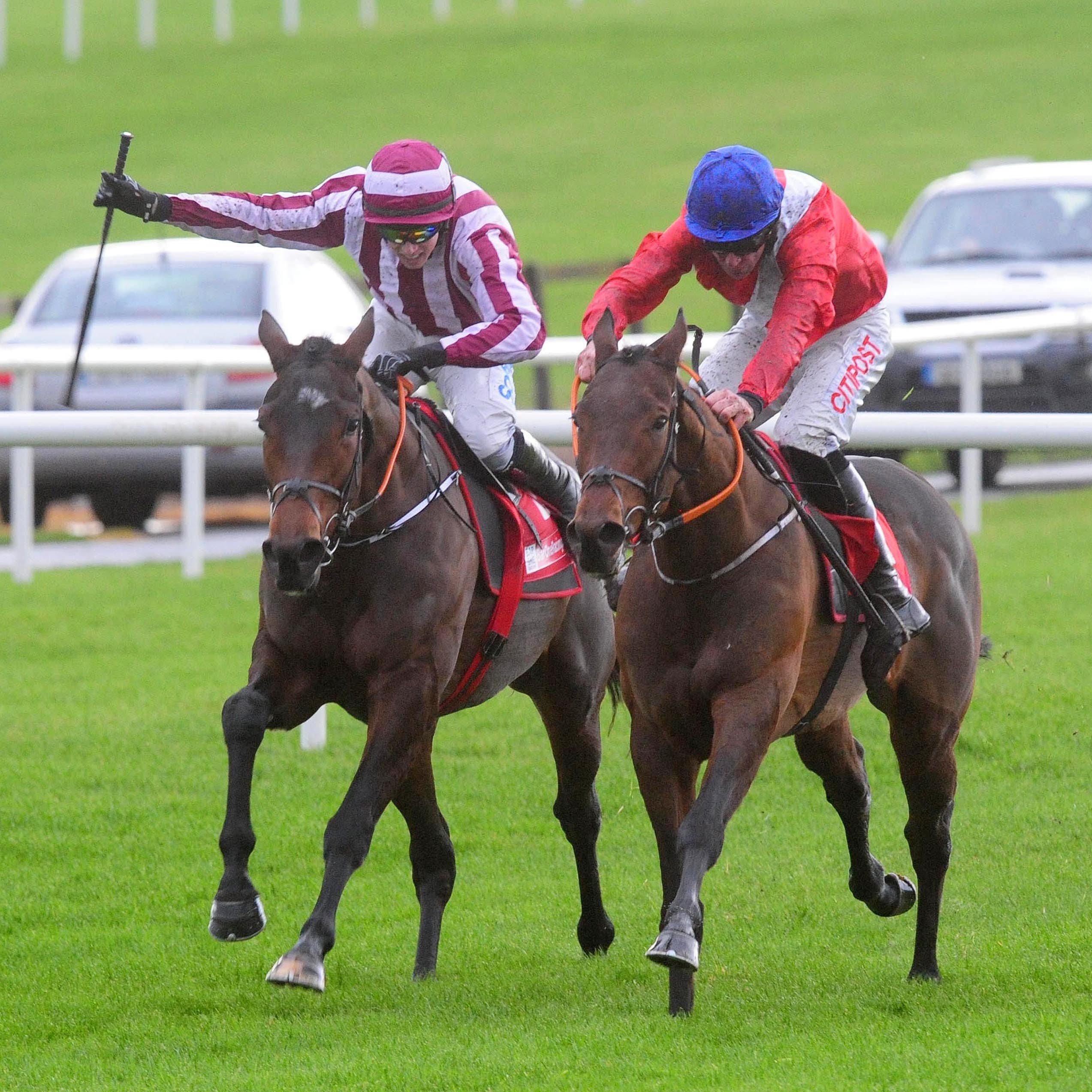 Chief Justice (right) just gets the better of stablemate Coeur Sublime at Fairyhouse