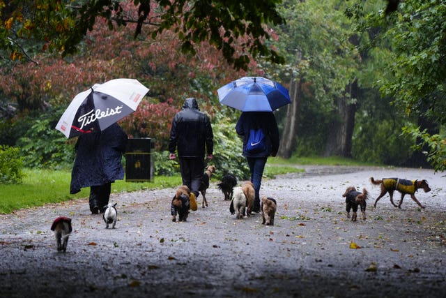 People walk dogs during rain in Sefton Park, Liverpool