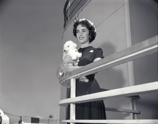 Mary McCartney curates Cunard exhibition