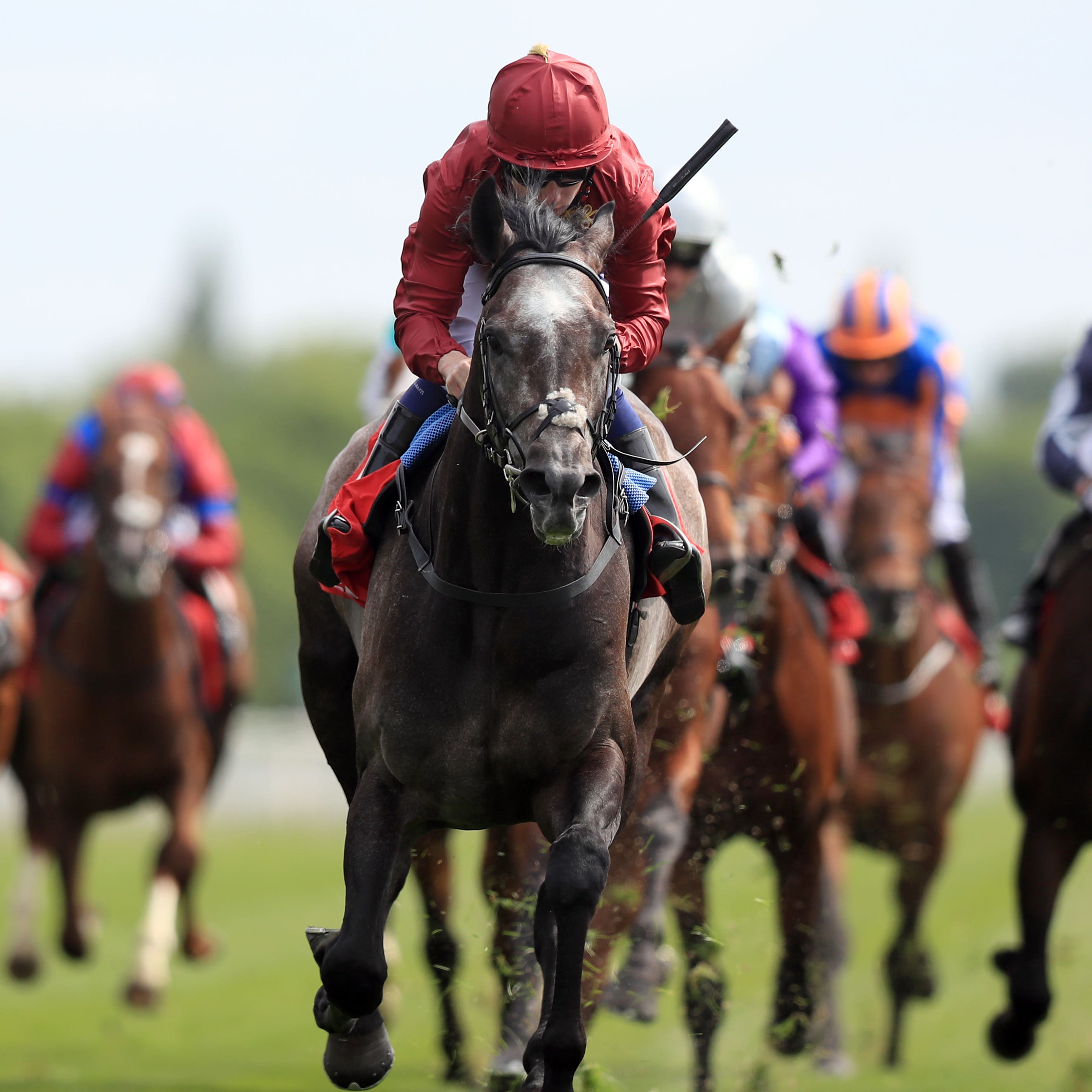 Roaring Lion has a choice of Classic options after his York win (Simon Cooper/PA)