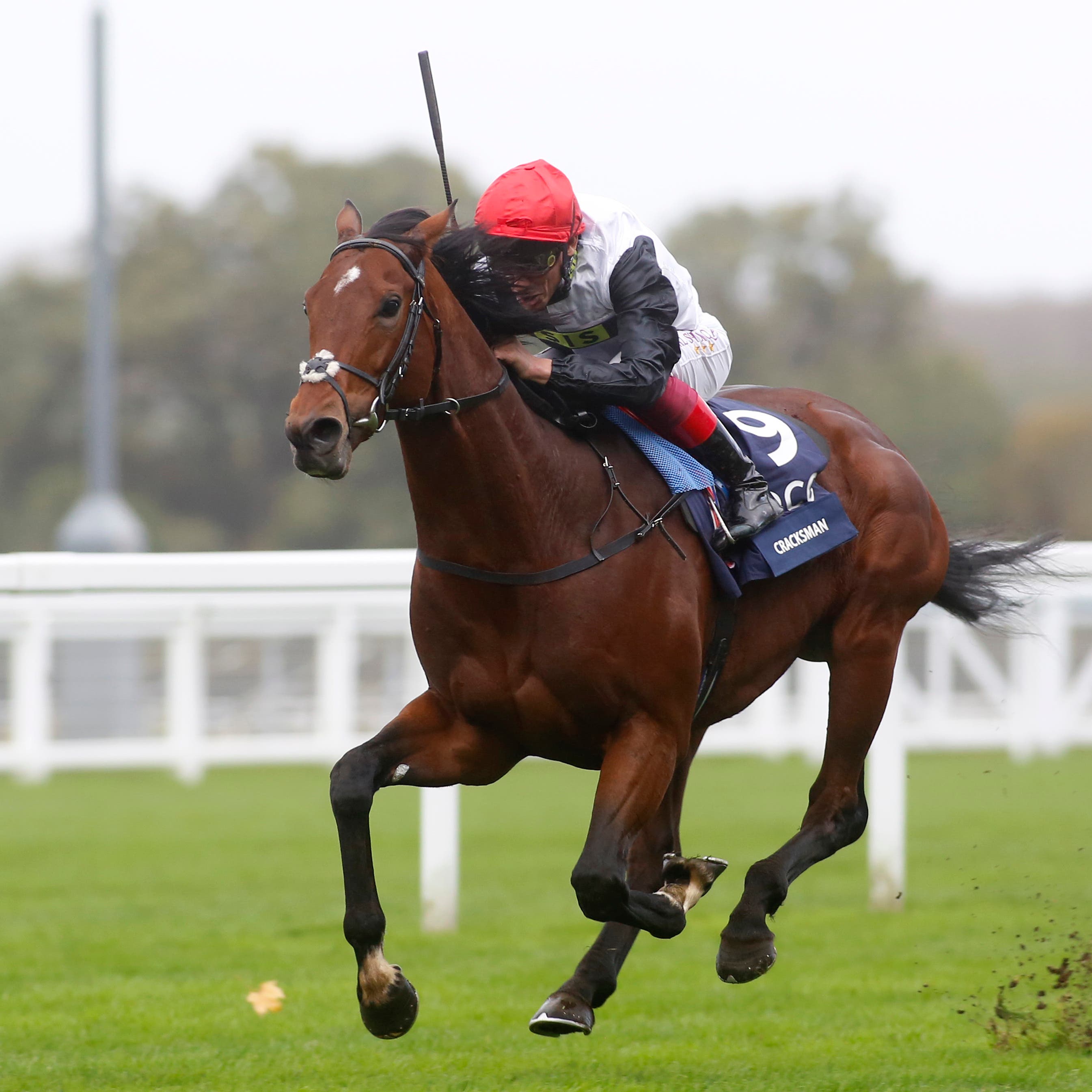 Cracksman bounds clear in last year's Qipco Champion Stakes