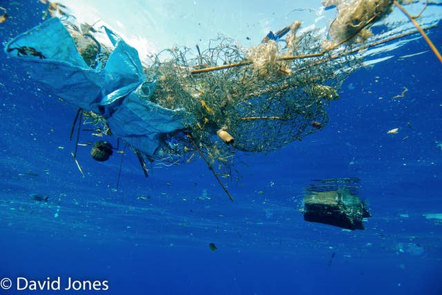 Protein that eats plastic could be pollution solution