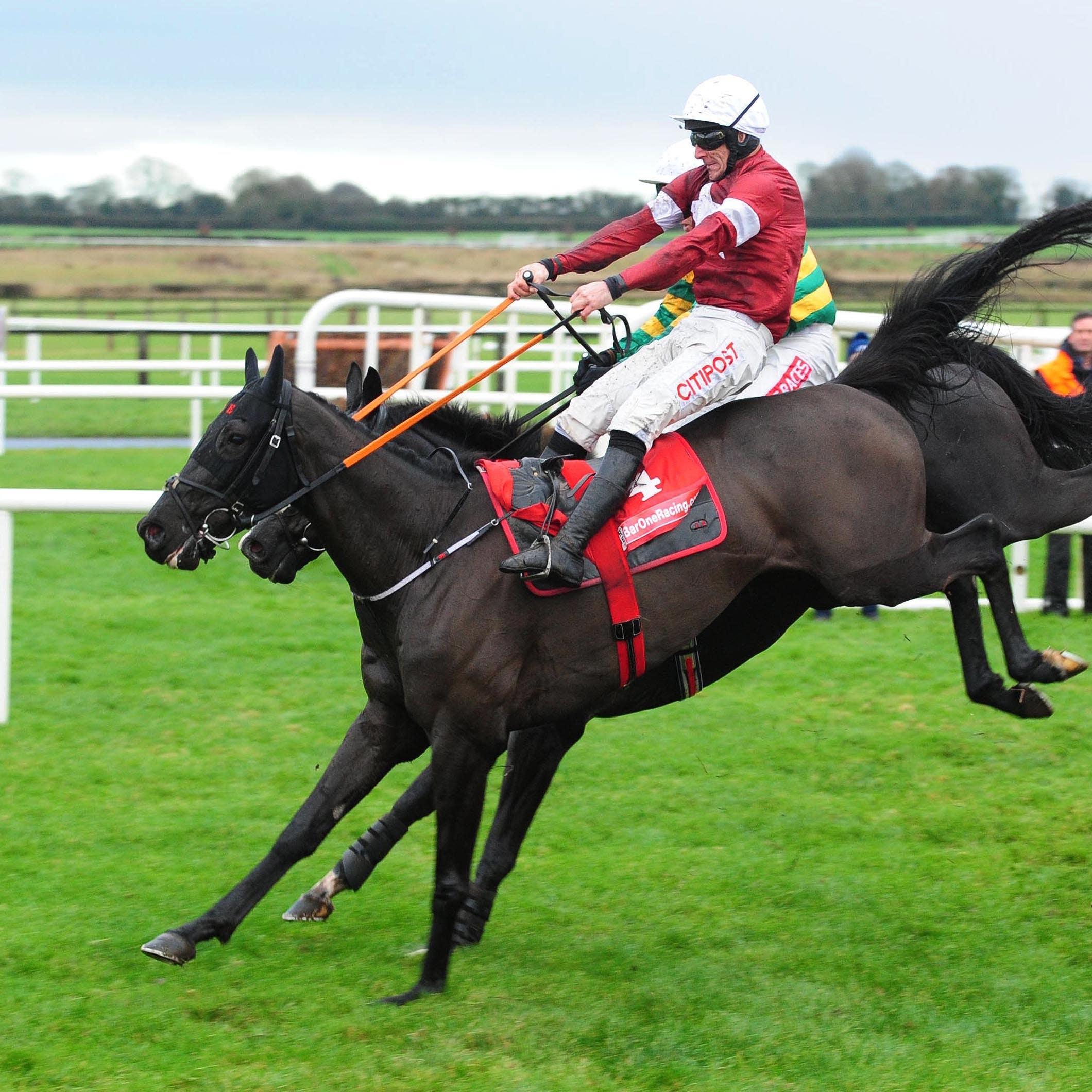 Delta Work and Le Richebourg battle it out at Fairyhouse