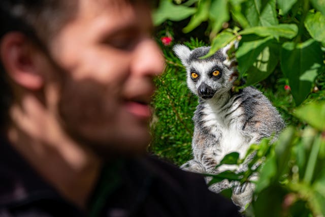 Bristol Zoo Gardens closure