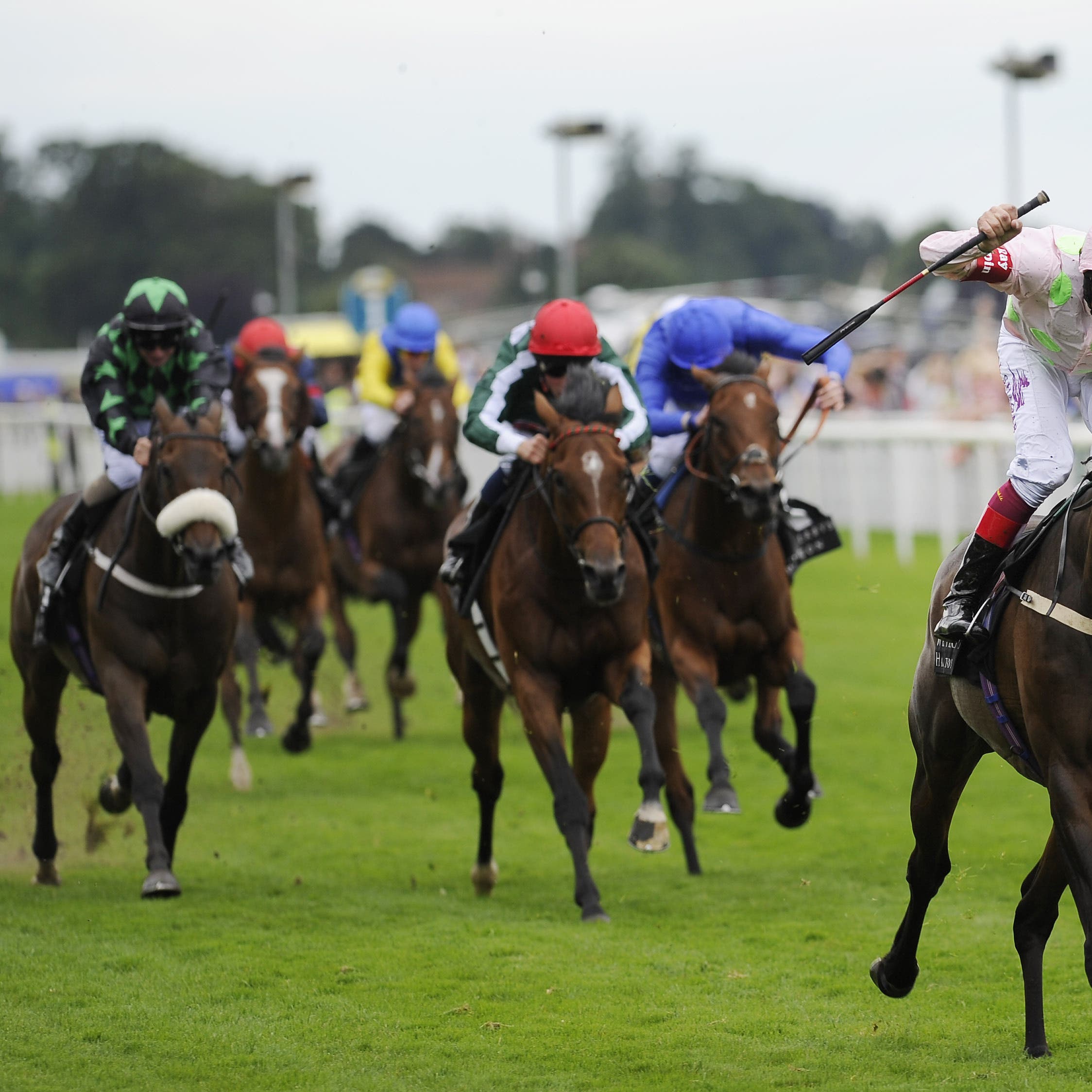 Max Dynamite has Gold CUp ambitions