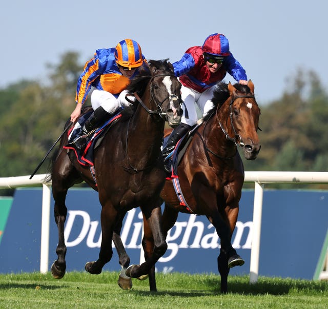 Luxembourg (right) went down narrowly to Auguste Rodin in the Irish Champion Stakes 