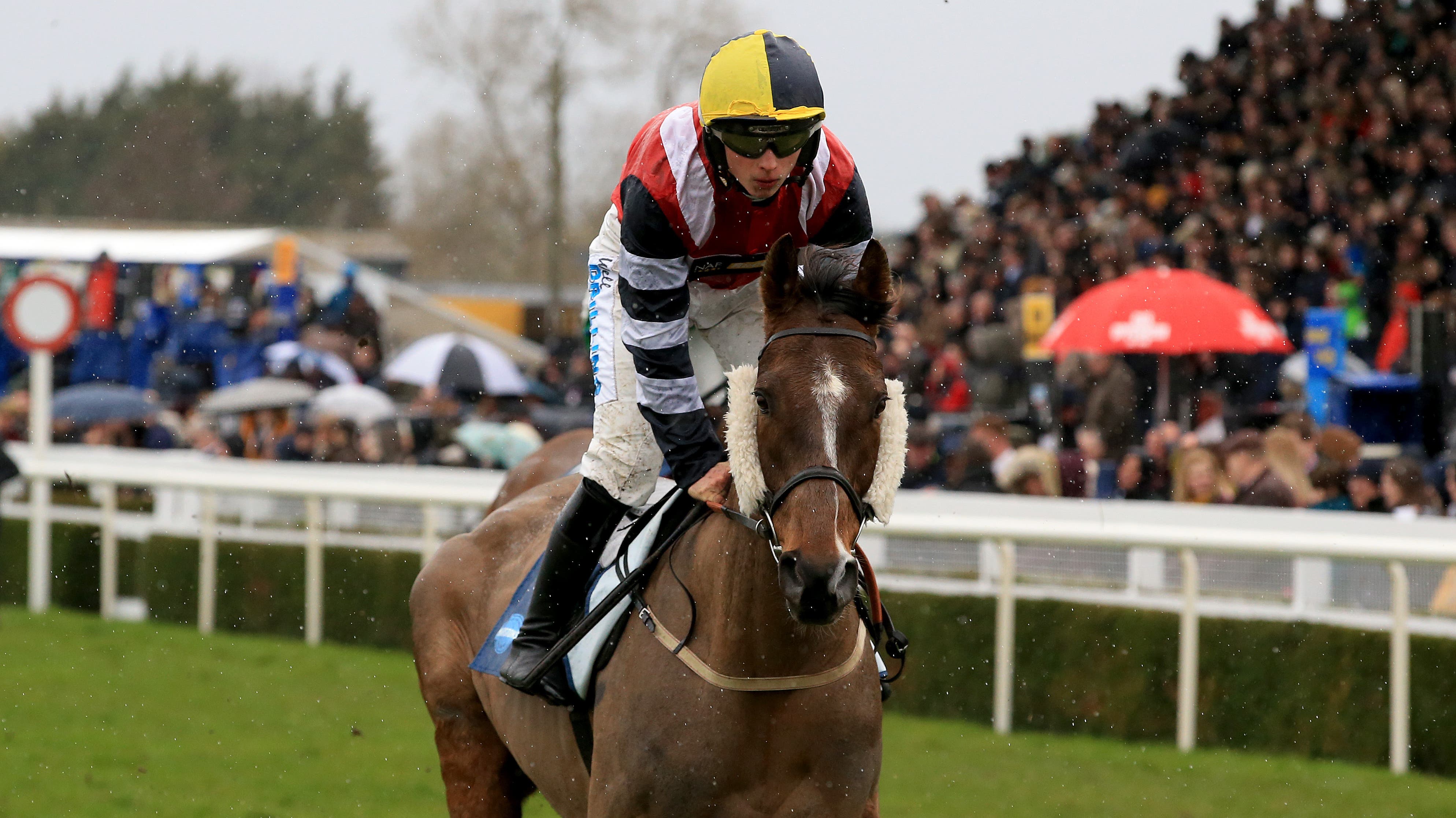 Virtual Grand National Potters Corner comes out on top after Aso's