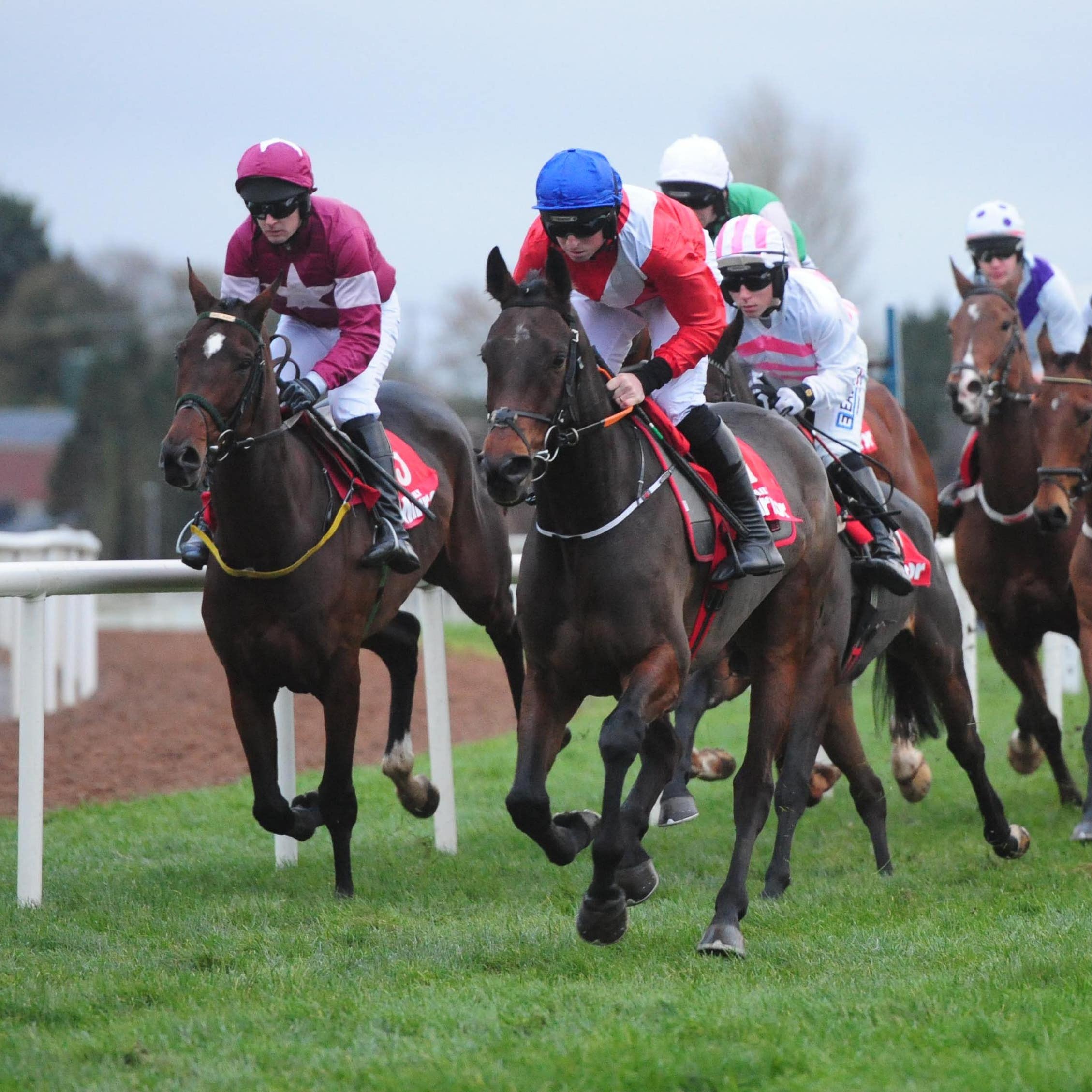 Malone Road (blue cap) looks a potential star
