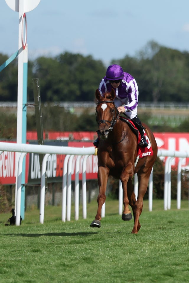 Precise in action at Goodwood 