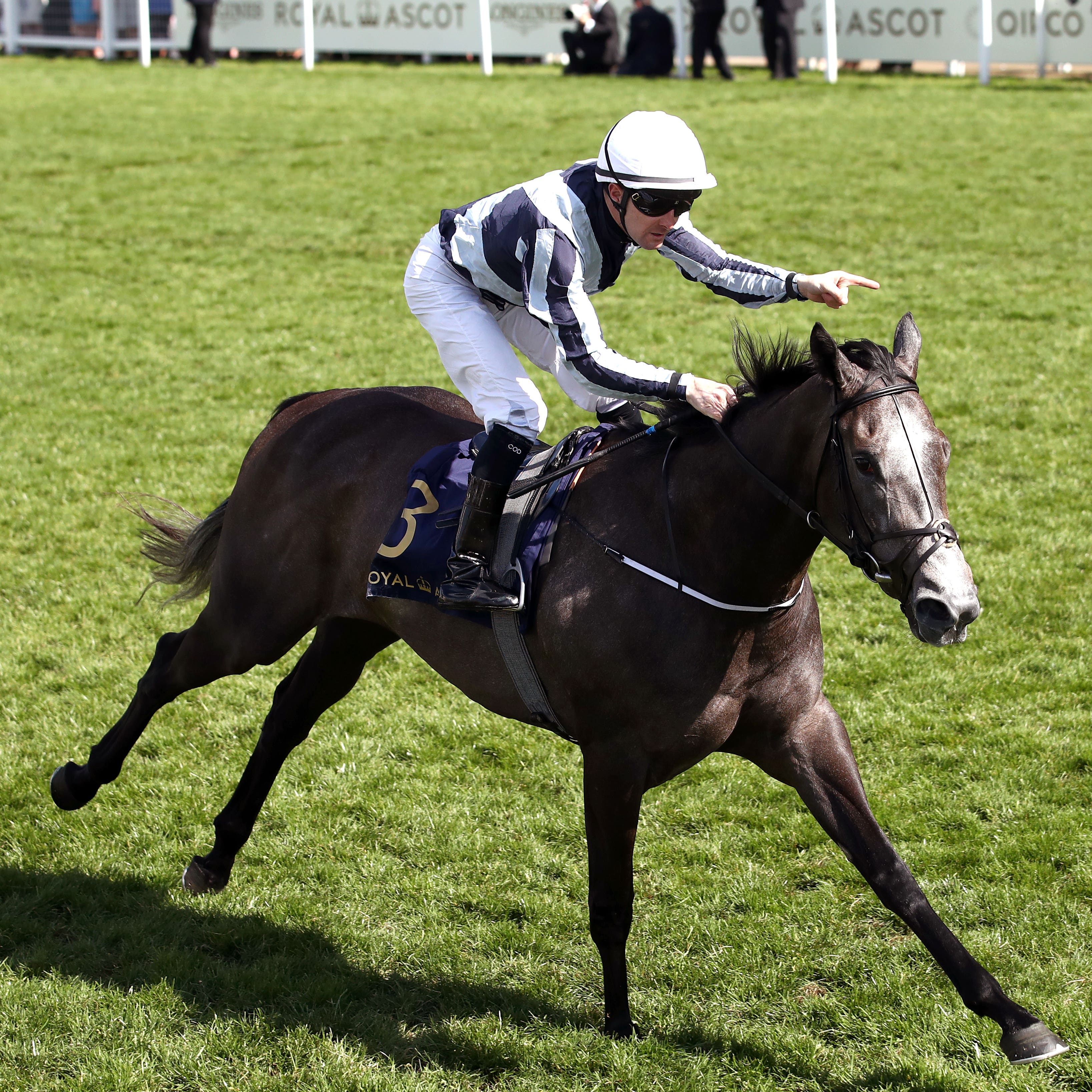 Alpha Centauri wins the Coronation Stakes at Royal Ascot