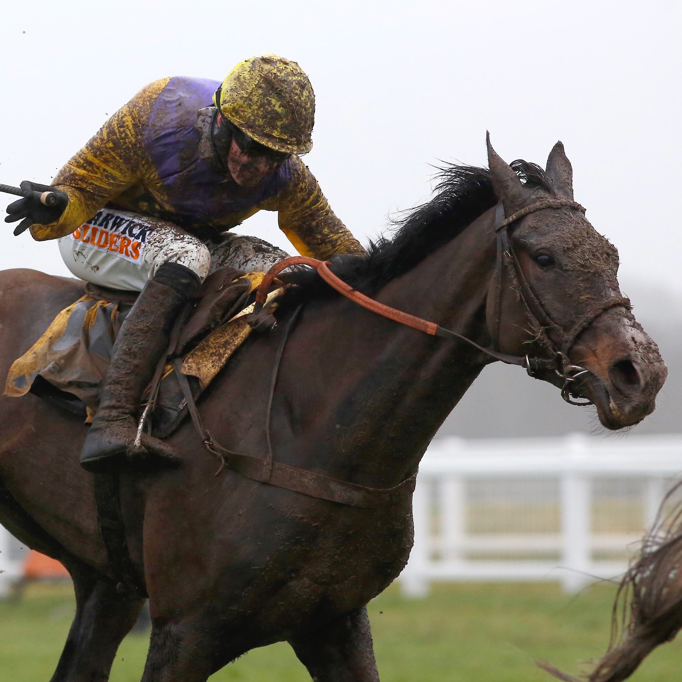 Kalashnikov, who will now head to the Kingmaker Novices' Chase at Warwick