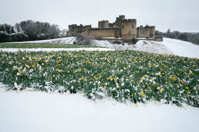 Heavy snow in Northumberland