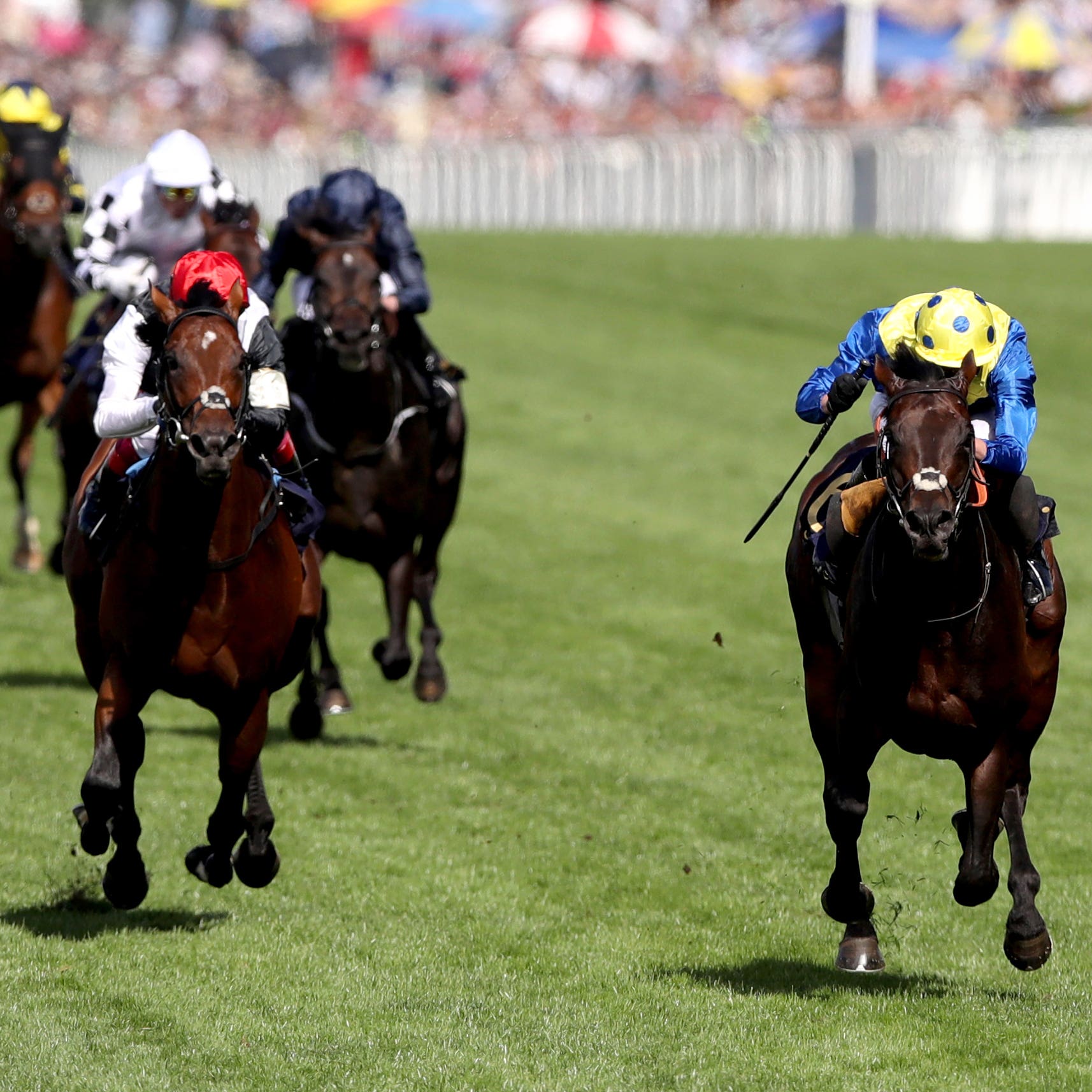 Poet's Word shocks Cracksman in the Prince of Wales's Stakes