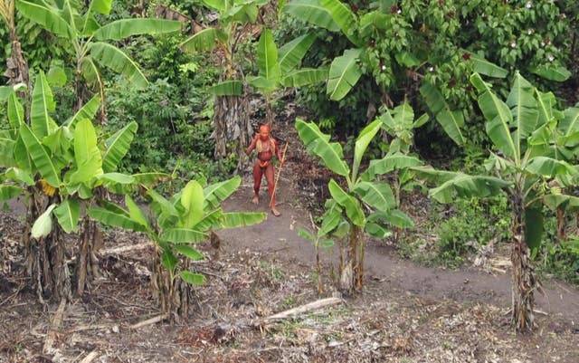 Uncontacted Indians living in Brazil, near the Peruvian border, who were featured in BBC1’s Human Planet (PA)
