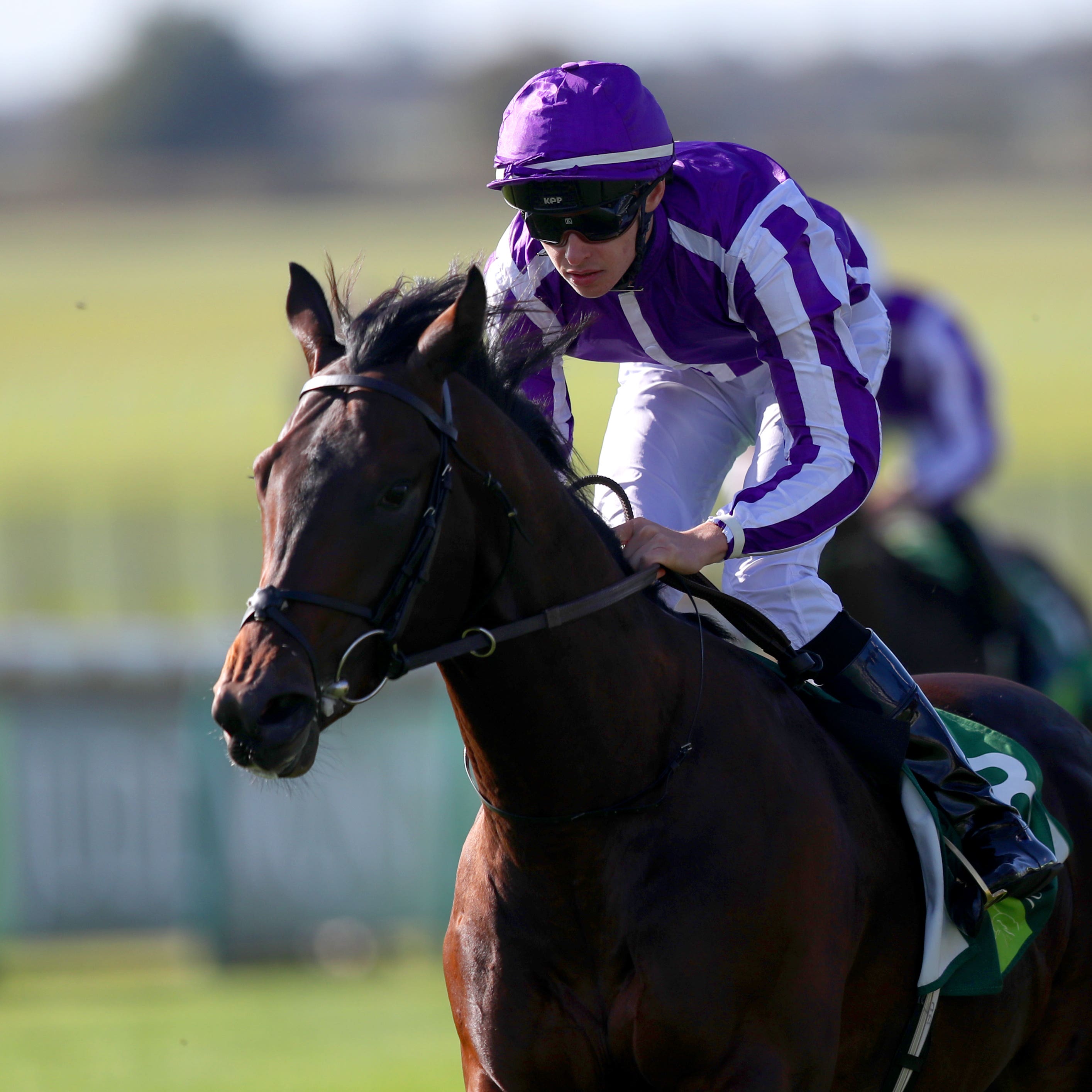 Ten Sovereigns was a good winner of the Middle Park