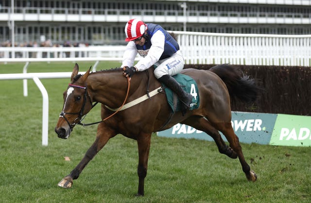 Shakem Up’Arry en route to winning on New Year's Day